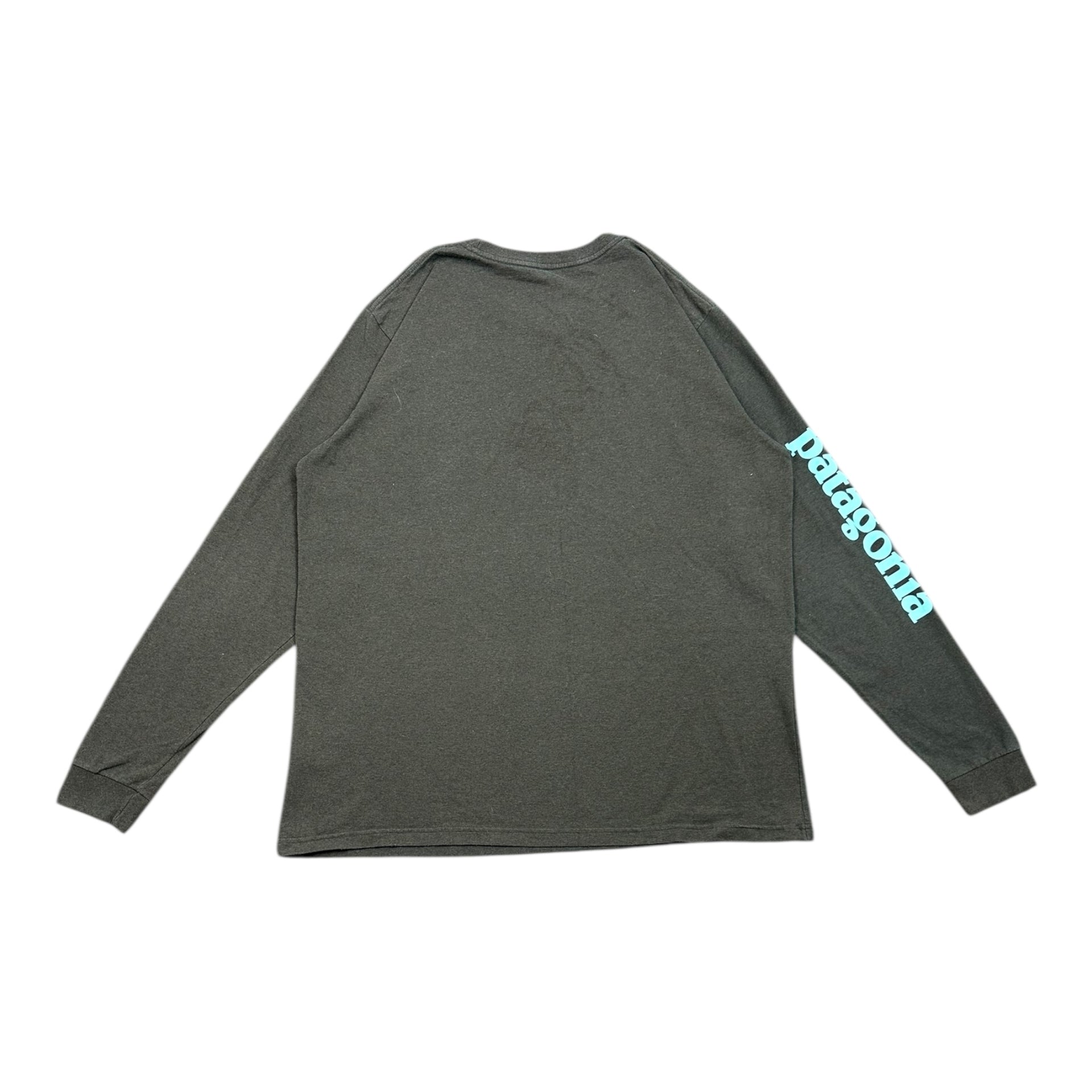 Long-sleeve Patagonia