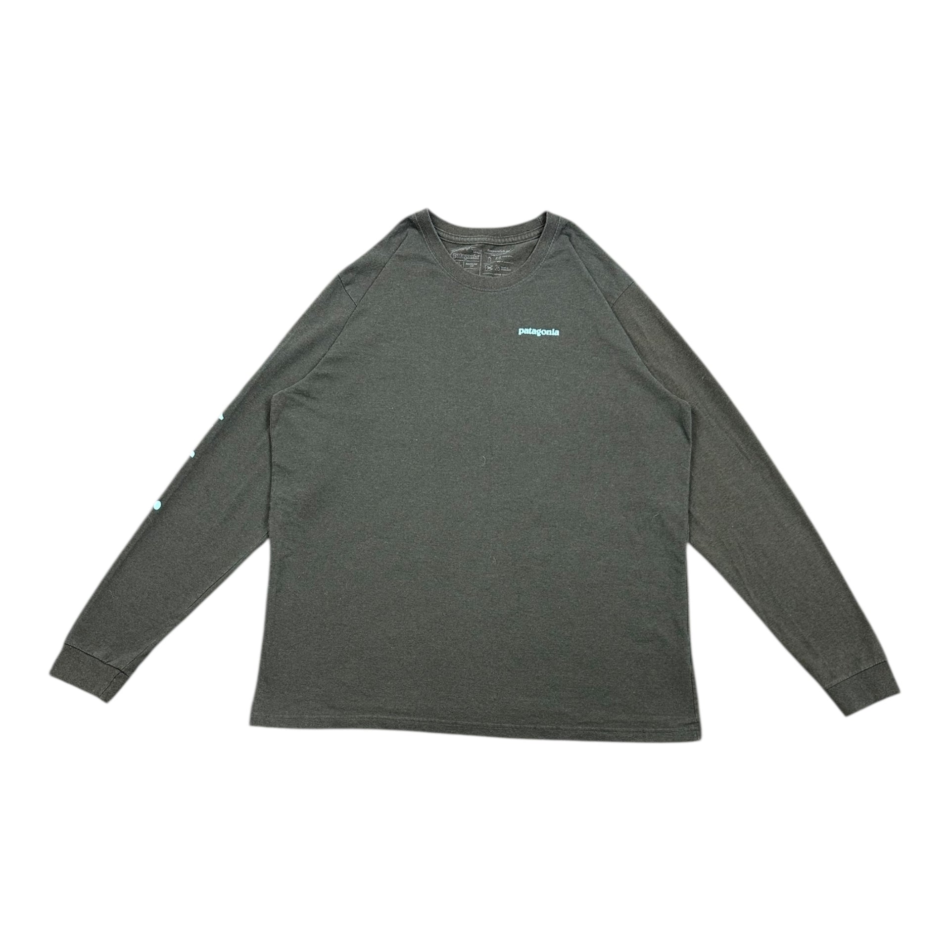 Long-sleeve Patagonia