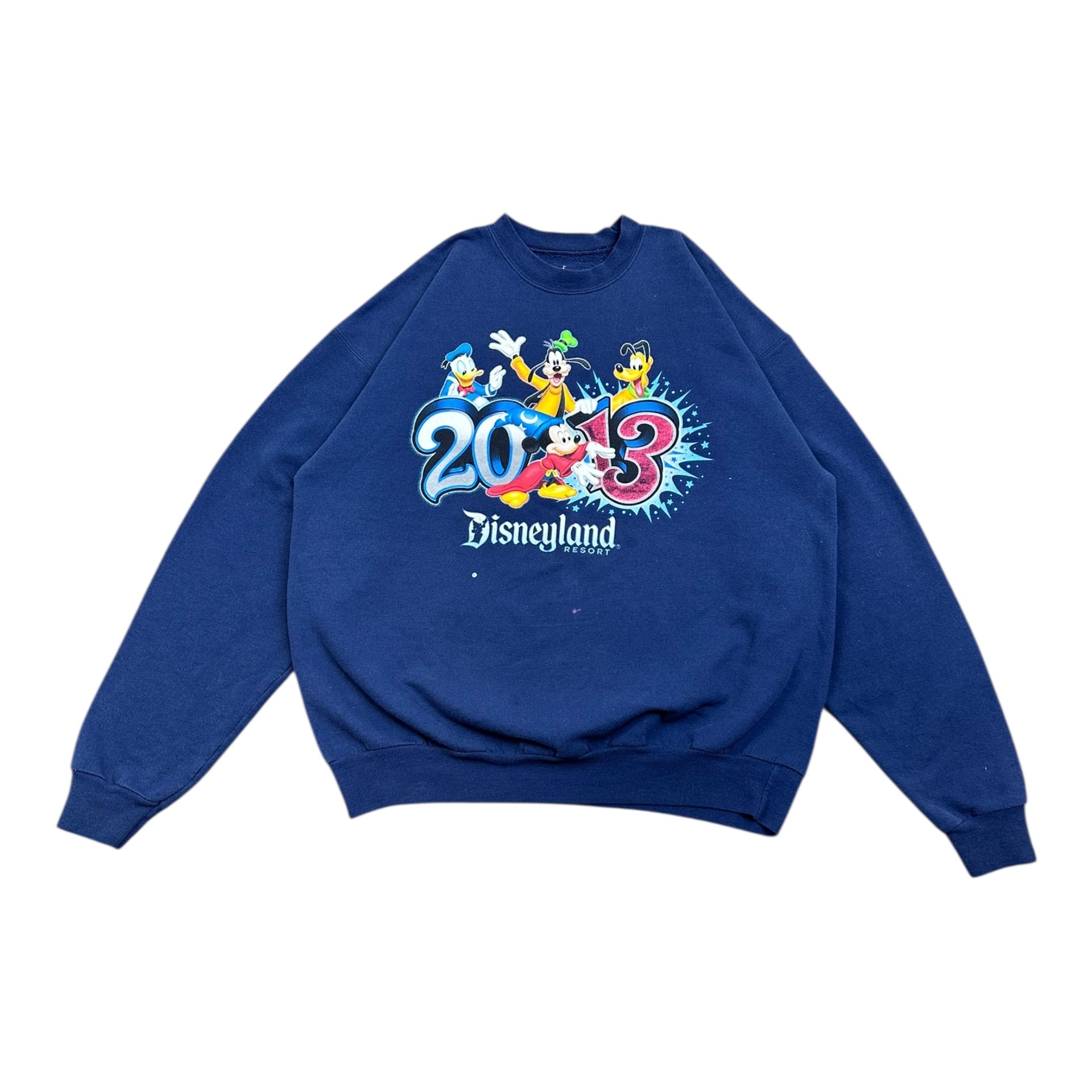 Bluza Disneyland