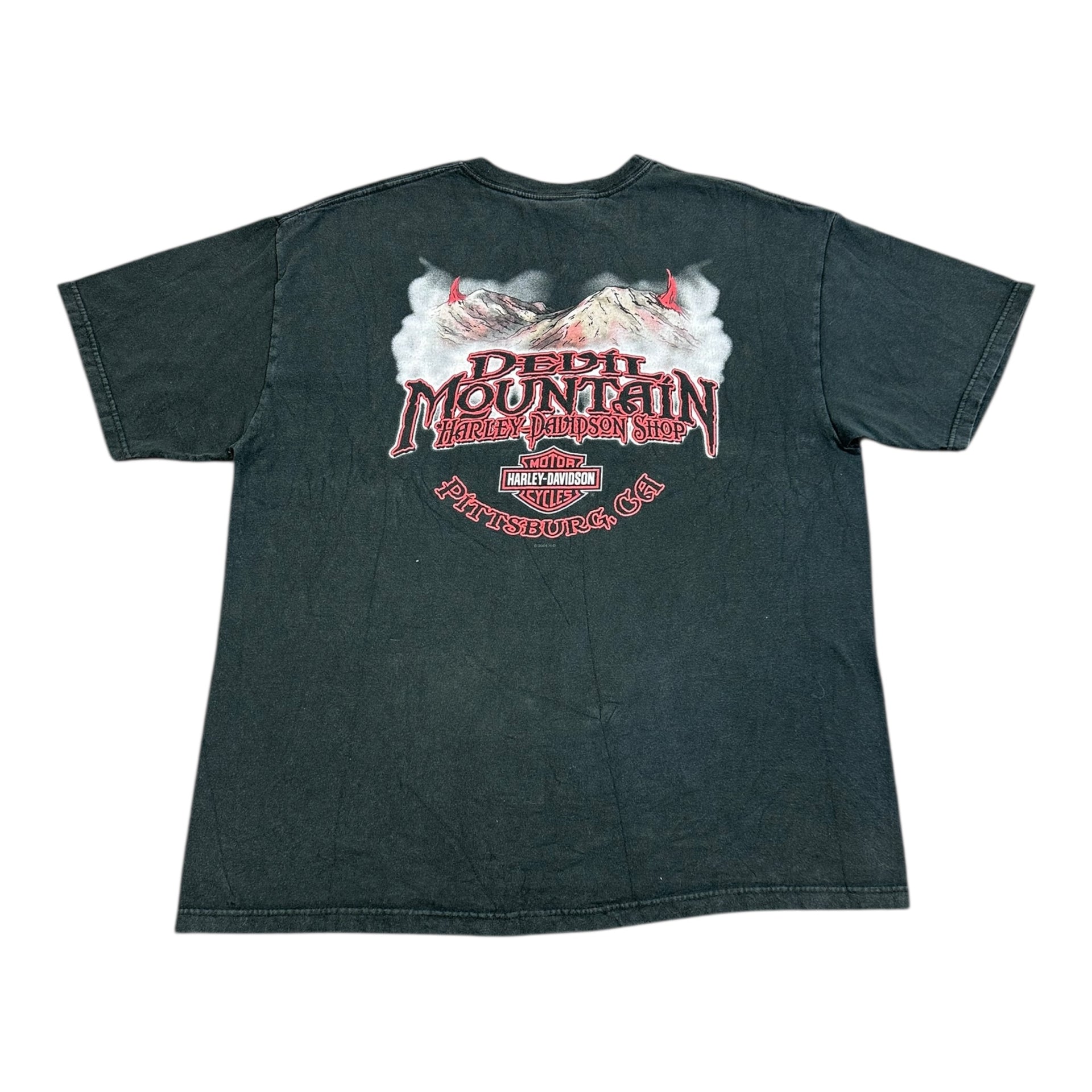 Koszulka Harley-Davidson