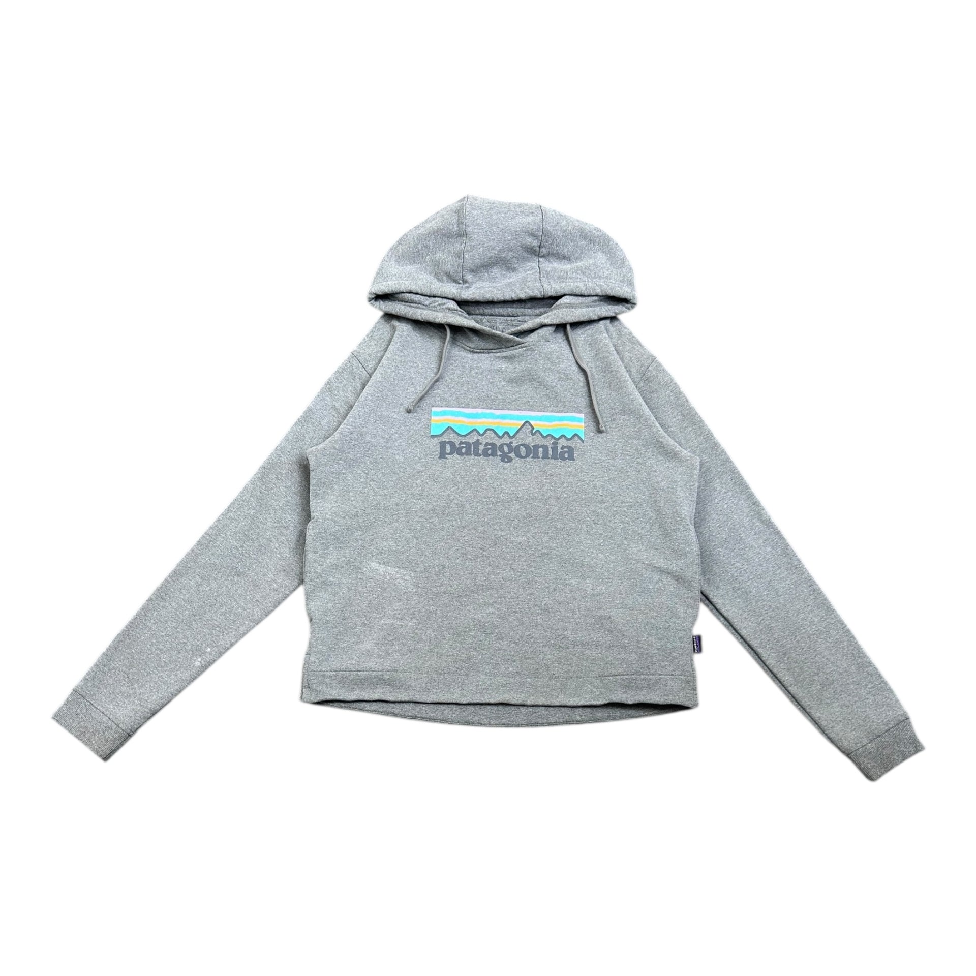 Bluza Patagonia