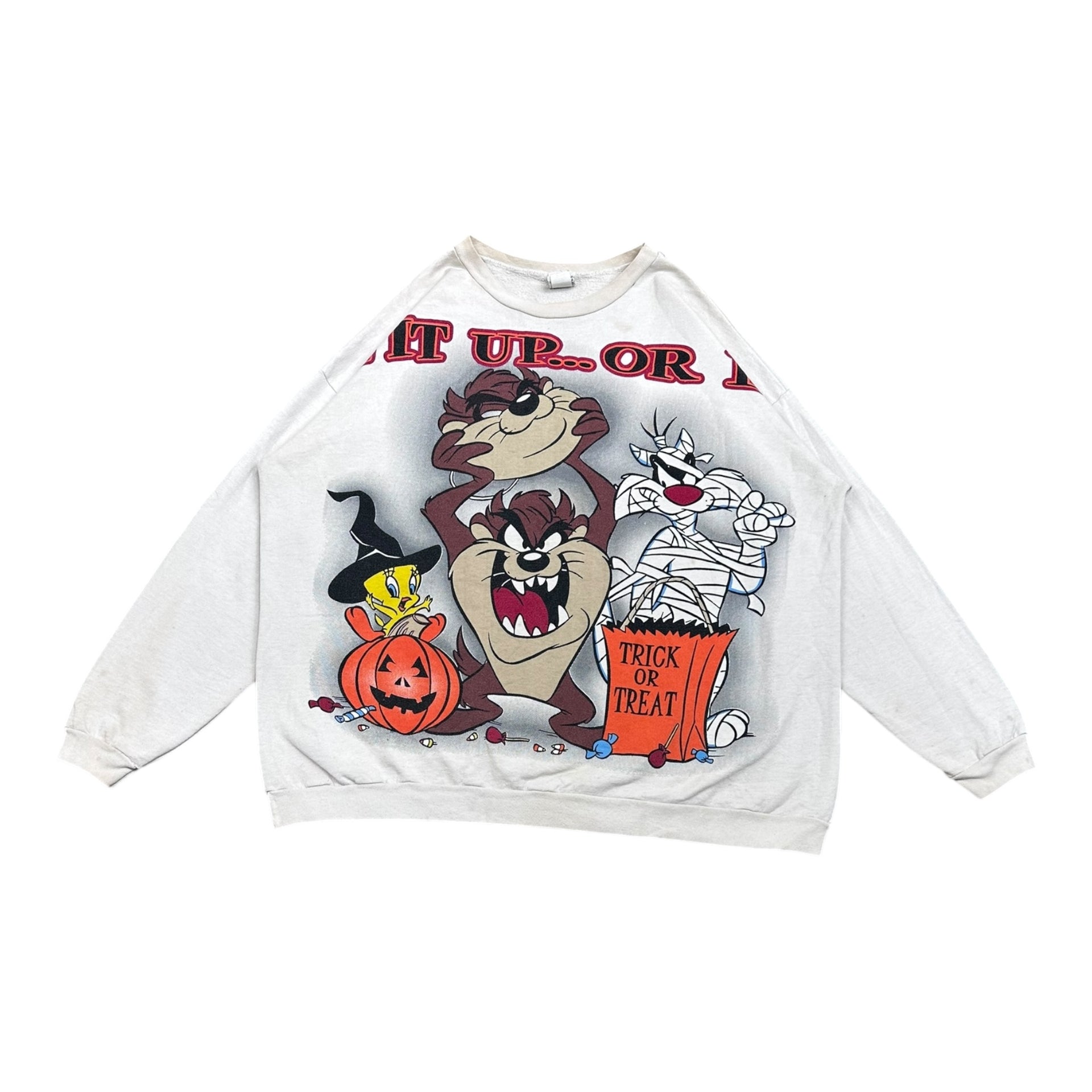 Bluza Looney Tunes